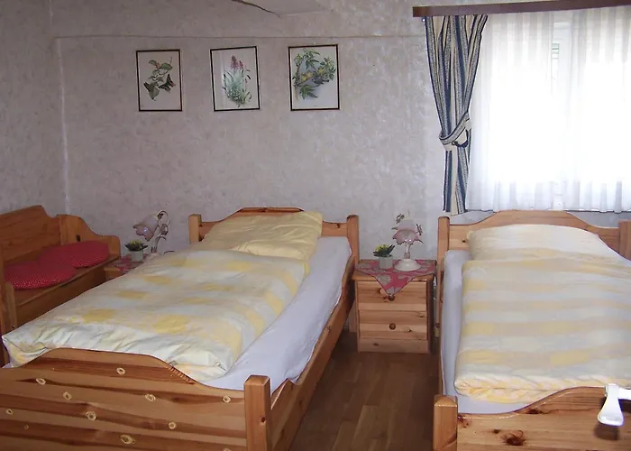 Zum Stausee Gæstehus 3*